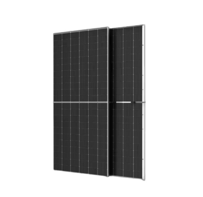 Trina Dual Glass Solar Module 645W 650W 655W 660W 665W TSM-DEG21C.20 Photovoltaikmodul